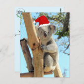 Carte postale Koala Christmas (Devant / Derrière)