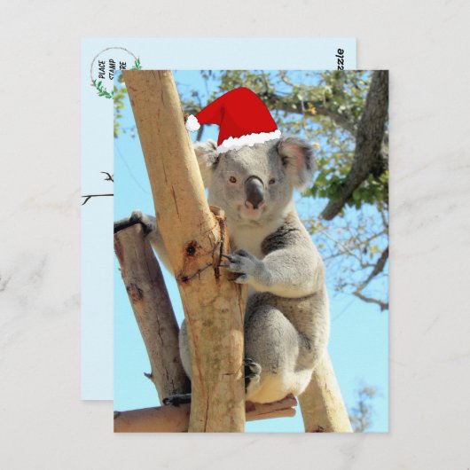 Carte postale Koala Christmas (Devant / Derrière)