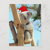 Carte postale Koala Christmas (Devant)