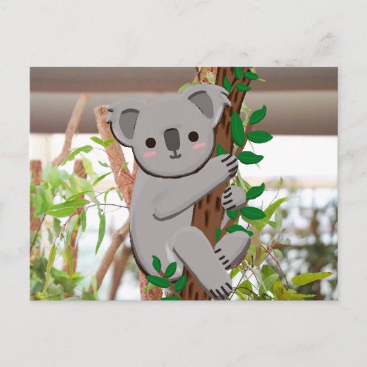 Carte postale Koala | C's Dream Design (Devant)