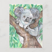 Carte Postale Koala dans la peinture d'arbre Eucalyptus (Devant)