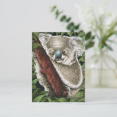 Carte postale Koala dormant (Debout devant)