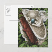 Carte postale Koala dormant (Devant / Derrière)