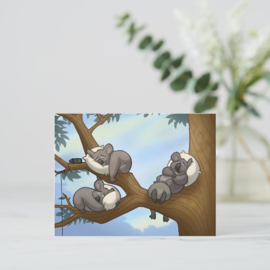 Carte postale Koala dormant (Debout devant)