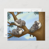 Carte postale Koala dormant (Devant / Derrière)