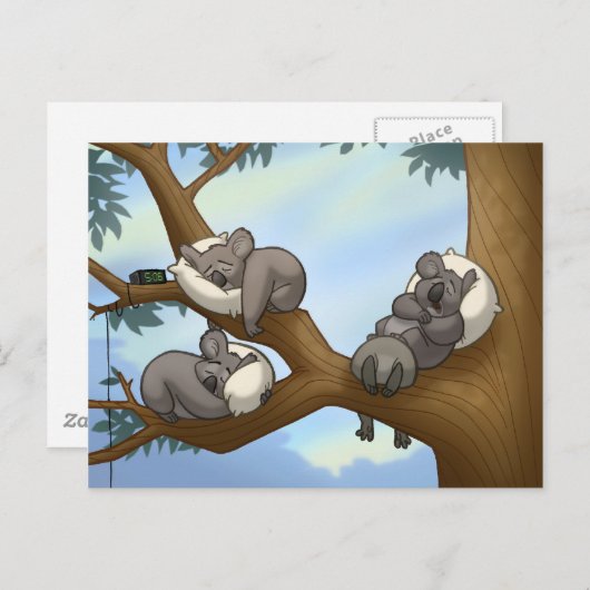 Carte postale Koala dormant (Devant / Derrière)