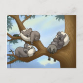 Carte postale Koala dormant (Devant)
