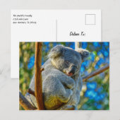 Carte Postale Koala dormant paisiblement dans un arbre (Devant / Derrière)