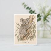 Carte postale Koala | Édition Bush (Debout devant)