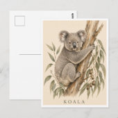 Carte postale Koala | Édition Bush (Devant / Derrière)