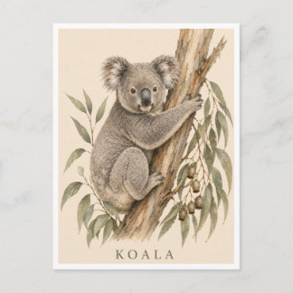 Carte postale Koala | Édition Bush