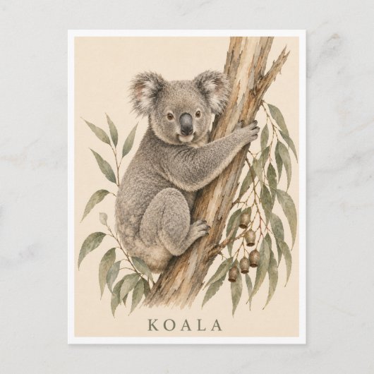 Carte postale Koala | Édition Bush (Devant)