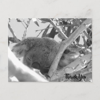 Carte Postale Koala endormi, photographie en noir et blanc, Aust