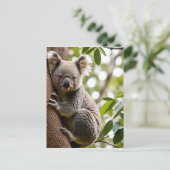 Carte Postale Koala Escalade un arbre (Debout devant)