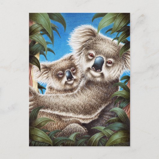 Carte postale Koala et Baby (Devant)