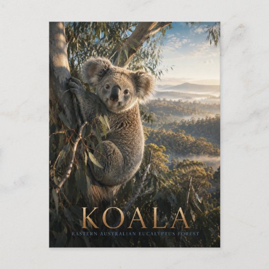 Carte Postale Koala Forêt d'Eucalyptus ANIMAUX (Devant)