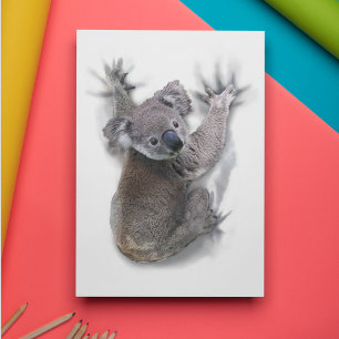 Carte Postale Koala Hang Sur Le Dos Cute Ours Australie Animal