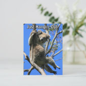 Carte Postale Koala Hanging en Australie (Debout devant)