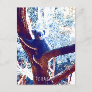 Carte Postale Koala in tree animal Australie