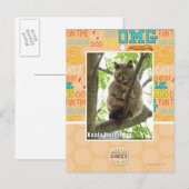 Carte Postale Koala Kitteh (Devant / Derrière)