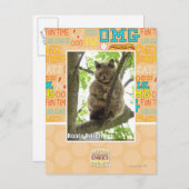 Carte Postale Koala Kitteh (Devant / Derrière)