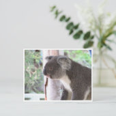 Carte Postale koala mignon (Debout devant)