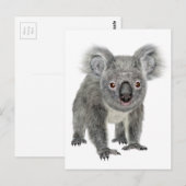 Carte Postale Koala Perspectives (Devant / Derrière)