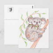 Carte Postale Koala sur la branche des arbres (Devant / Derrière)