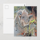 Carte Postale Koalas gris (Devant / Derrière)