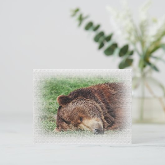 Carte postale Kodiak Bear Sleeping (Debout devant)