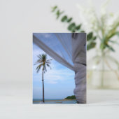 Carte Postale koh samui (Debout devant)