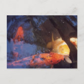 Carte Postale Koi (Devant)