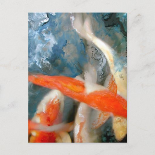 Carte Postale Koi (Devant)