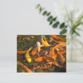 CARTE POSTALE KOI (Debout devant)