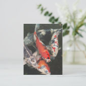 Carte Postale Koi (Debout devant)