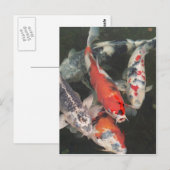 Carte Postale Koi (Devant / Derrière)