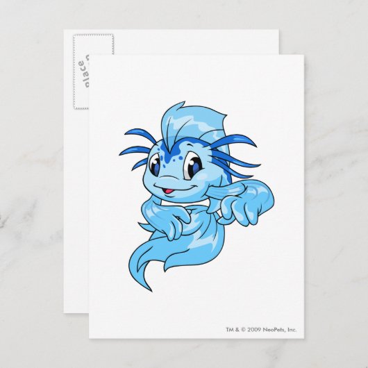 Carte Postale Koi Blue (Devant / Derrière)