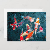 Carte Postale Koi dans l'étang de Sensō-JI (Devant / Derrière)