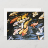 Carte postale Koi Fish (Devant / Derrière)