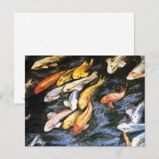 Carte postale Koi Fish (Devant / Derrière)