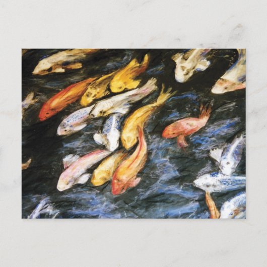 Carte postale Koi Fish (Devant)
