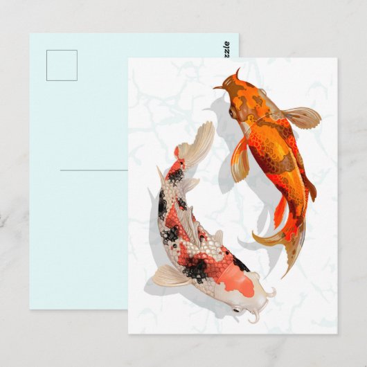 Carte Postale Koi Fish (Devant / Derrière)