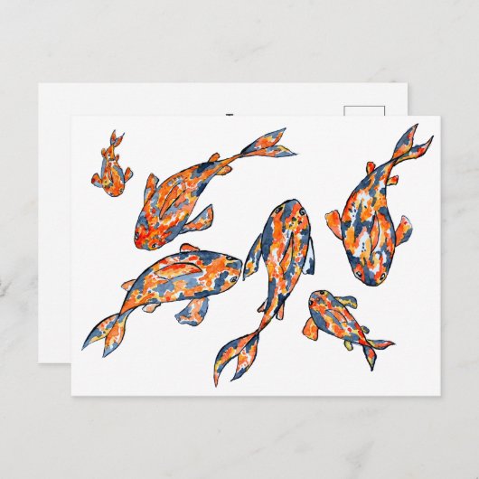 Carte postale Koi Fish Pond (Devant / Derrière)