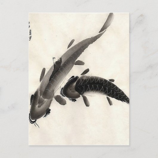 Carte Postale Koi Fish Watercolor (Devant)
