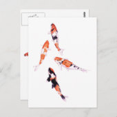 Carte postale Koi flottante (Devant / Derrière)
