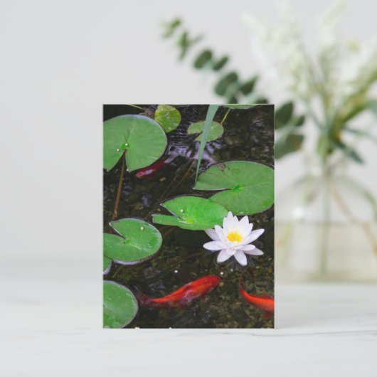 Carte Postale Koi Pond (Debout devant)