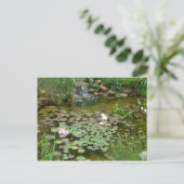 Carte postale Koi Pond (Debout devant)