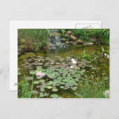 Carte postale Koi Pond (Devant / Derrière)