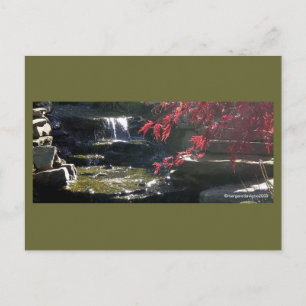 Carte Postale Koi Pond à HFSC