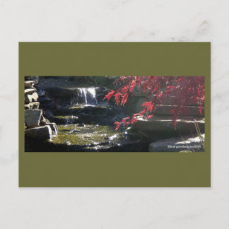 Carte Postale Koi Pond à HFSC